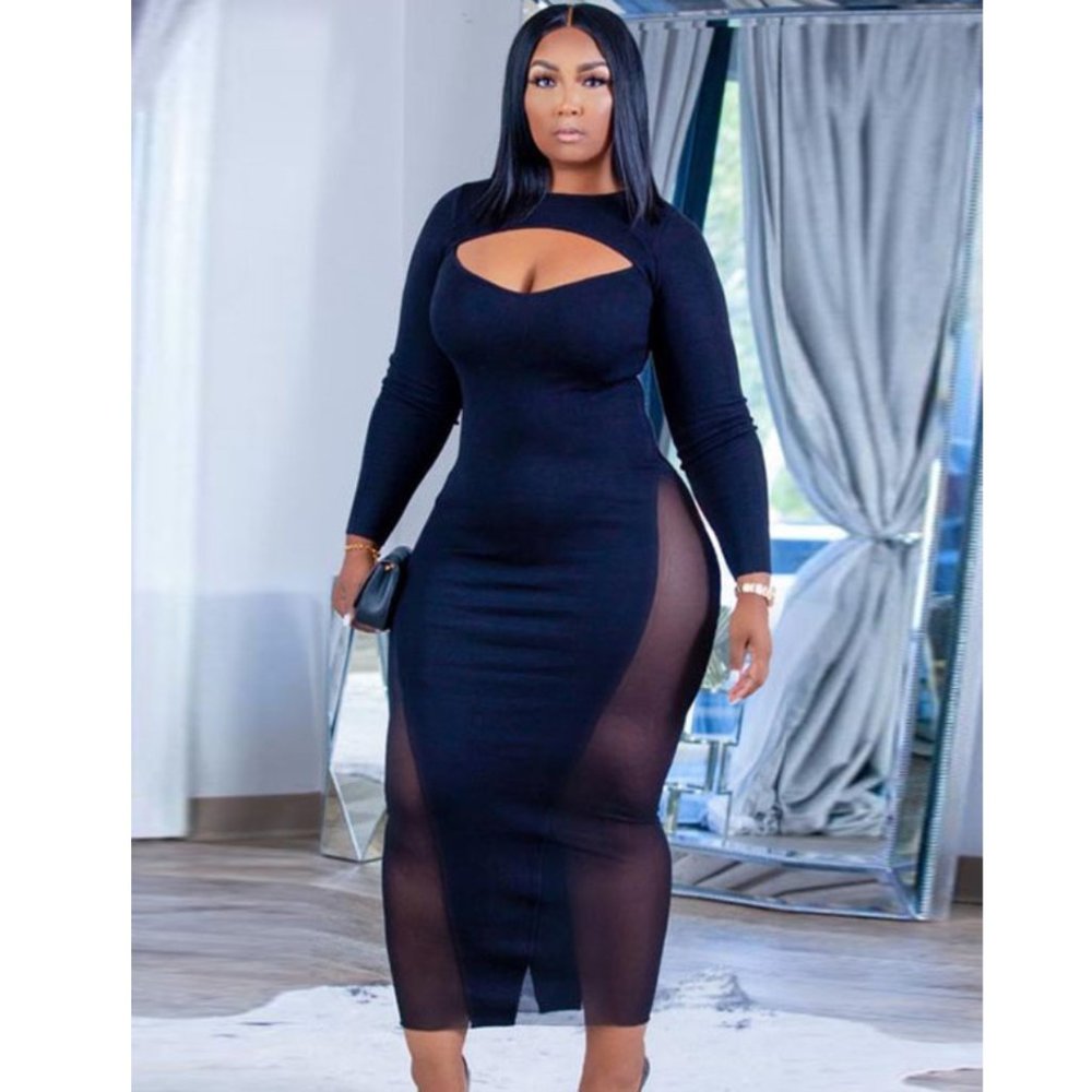 Dark Blue Mesh Long Sleeves Dress